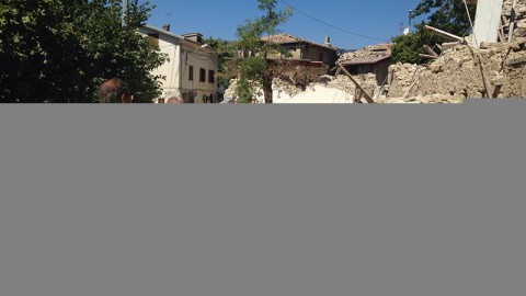 La LAV impegnata per animali e umani nelle zone del terremoto