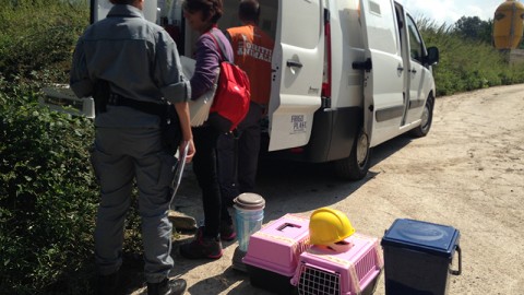 Emergenza Terremoto: raccolte pi&ugrave; di 100 segnalazioni