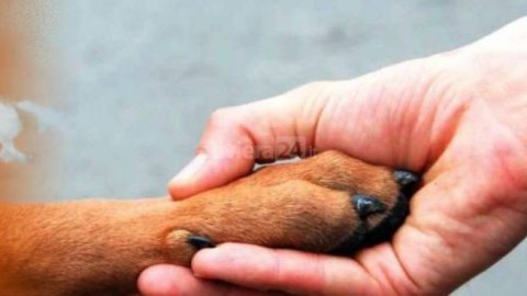 La Lega del Cane di Ventimiglia chiede sovvenzioni – Riviera24.it