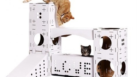 Design a prova di cane e gatto – Vanity Fair.it