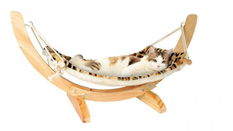 50 gadget per il tuo gatto – Wired.it