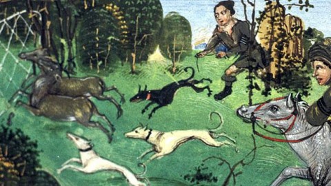 A Roma la presentazione del libro “Cani e uomini. Una relazione … – San Francesco Patrono d'Italia