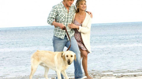 Il segreto della coppia felice? Avere un cane – CheDonna.it