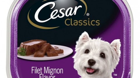 Cibo per cani, ritirate confezioni Cesar in America: pericolo … – Il Messaggero