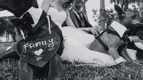 Nozze: all'altare insieme al proprio cane – IO donna