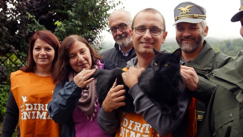 La storia a lieto fine del gatto Dada, salvo dopo il terremoto