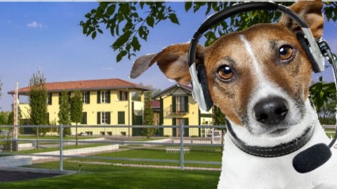 Villa Sant'Uberto, la Sanremo dei cani – Legnanonews