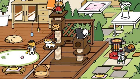 Neko Atsume: il gioco per collezionare gattini virtuali diventa un film – MondoFox