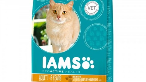 Cane e gatto: no al sovrappeso – Cose di Casa