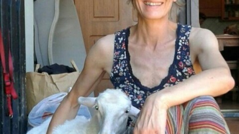 Ecco Totta, la pecorella salvata che dorme coi bambini – Il Tirreno