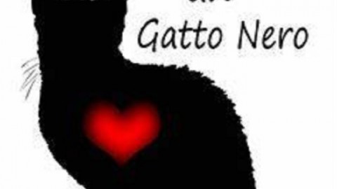 Home Animali XIII Gatto nero day. Giovedì 17 novembre molti paesi … – redazione (Comunicati Stampa)