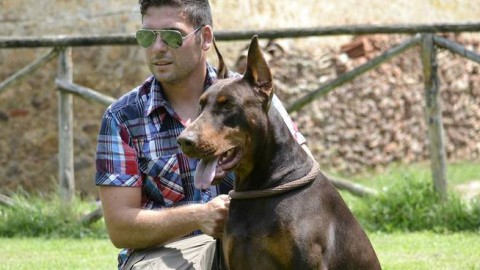 «Mi hanno ammazzato il cane, voglio giustizia» – Il Giunco.net