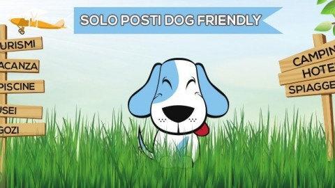 Arriva Tripfordog.com, il motore di ricerca per hotel che accettano cani – Meteo Web