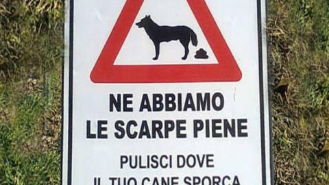 Carpasio, linea dura contro gli incivili con il cane: previste multe fino … – Riviera24.it
