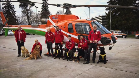 La “Corsa della Bora” anche per i cani: nasce la “S1Dog” – Triesteprima.it