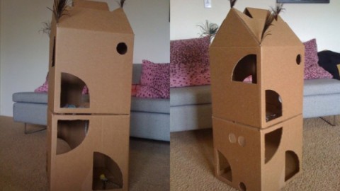Regalo per gatto fai da te: crea un castello di cartone – Petpassion.tv