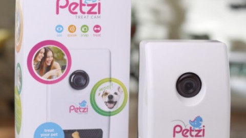 Cosa fanno i gatti quando noi non ci siamo? – Petpassion.tv