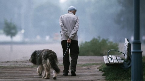 Il 39% degli anziani ha un animale domestico e ogni anno spende … – Il Sole 24 Ore