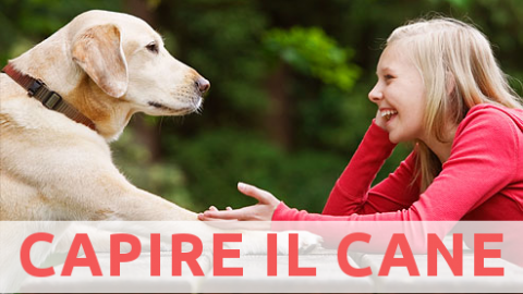 Come possiamo capire quello che i cani ci vogliono dire? – Scienzenotizie.it (Comunicati Stampa) (Blog)