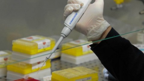 Meningite, maestra morta a Roma. Regione Lazio: “Causata da … – Il Fatto Quotidiano