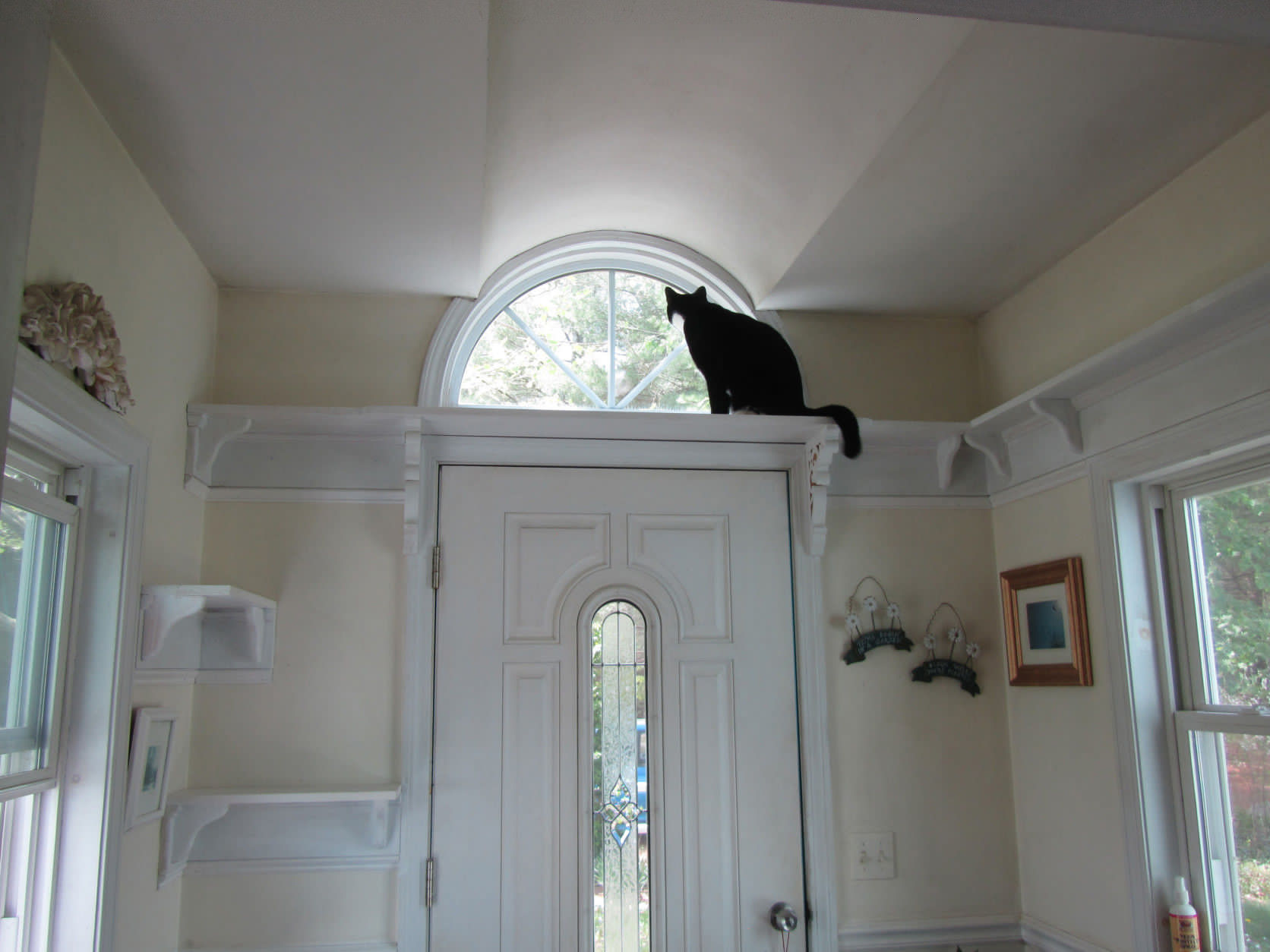 This photo provided by Tarcher Perigee shows Dash the kitten who has a space to himself, away from the home’s three dogs in the book, "Catify to Satisfy: Simple Solutions for Creating a Cat-Friendly Home by Jackson Galaxy and Kate Benjamin. Whether it's a new kitten, an older rescue or an addition to your cat family, choosing just the right gear and tweaking your home is key to keeping felines safe, sane and stimulated. (Poaulinka de Rochemont/Tarcher Perigee via AP)