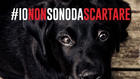 #iononsonodascartare, per Natale Strada dei Parchi promuove l … – Chietitoday