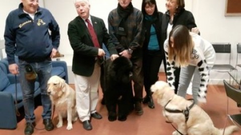 'Il cane entra a scuola', educazione cinofila in aula – Estense.com