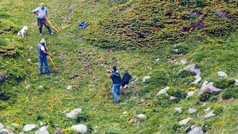 Cane lapidato. Assolti tutti. Il testimone esca dall'anonimato.