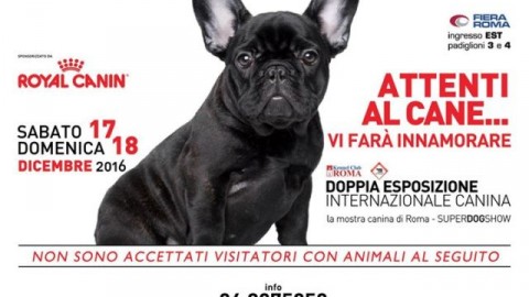 Animali: a Roma sfilano le star canine, oltre 300 razze al SuperDog … – Meteo Web