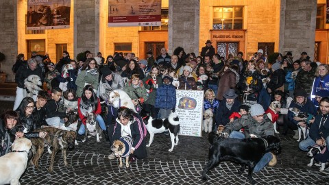 “Natale insieme, Amico Cane”, domenica in piazza del Popolo la … – Vivere Pesaro