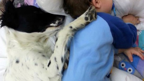 Un animale in famiglia fa bene alla salute – Corso Italia News