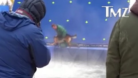 Qua la Zampa: polemiche sul trattamento riservato al cane Hercules … – BadTaste.it – Il nuovo gusto del Cinema
