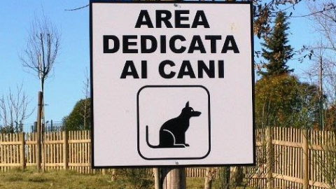 L'inutile polemica sulla tassa sui cani a Torino – neXt Quotidiano – next