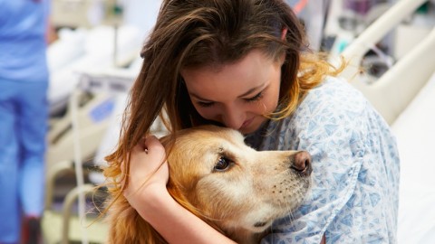 Animali domestici, cosa fare usufruire delle agevolazioni statali – Palermomania.it