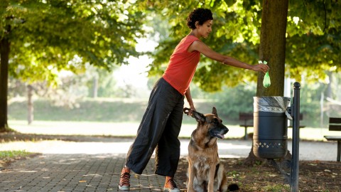 Dna del cane per multare il padrone maleducato – Studio Cataldi