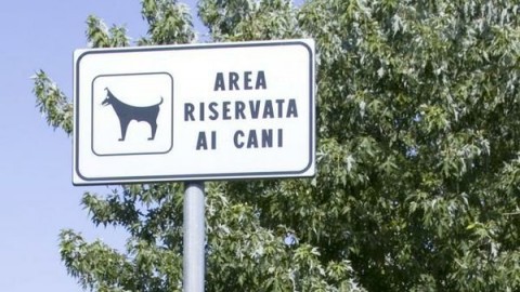 Ventimiglia|Area Cani a Nervia pronta la nuova convenzione tra … – Riviera Press
