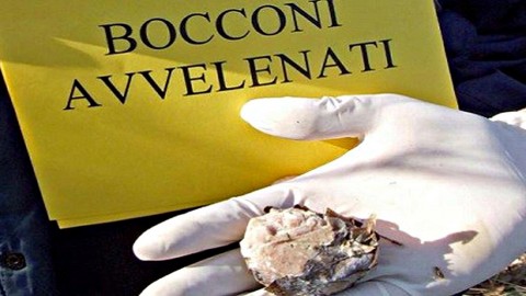 OSSERVATORIO SU ESCHE AVVELENATE – Controradio (Comunicati Stampa) (Registrazione)