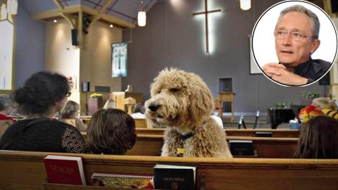 Blitz animalista per i cani nella chiesa: ai parroci toccherà pure … – La Stampa