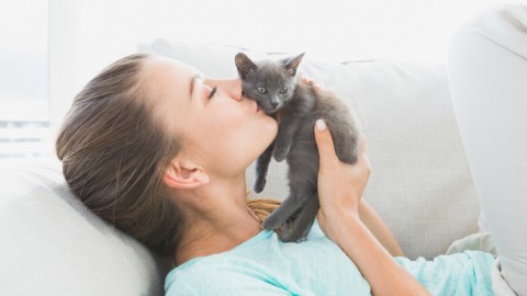 Gli italiani hanno meno animali domestici – MondoEcoBlog.com (Blog)