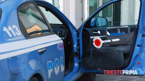 Aggredisce l'anziano padre e maltratta i due cani: denunciato … – Triesteprima.it