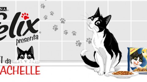 Concorsi, iniziative e notizie per cani e gatti: scopri le novità di marzo! – Petpassion.tv