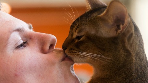 Il vostro gatto vi ama più di quanto ami il cibo – Wired – Wired.it