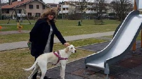 Basta cani senza guinzaglio nei parchi pubblici: scattano le multe – Il Gazzettino