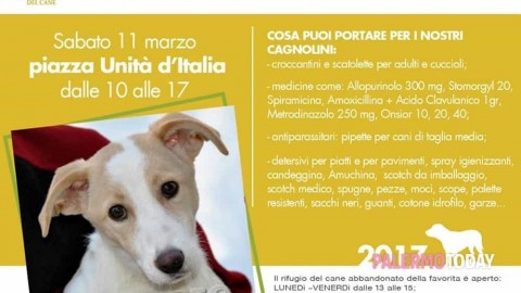 Raccolta di viveri e farmaci per i cani del rifugio Favorita in piazza … – PalermoToday