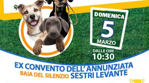 Una meravigliosa domenica da cani: tutto per i 4 zampe all'Annunziata – Tigullio News