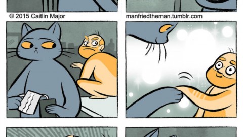 Questo fumetto ci mostra cosa succede quando i gatti e gli umani si … – Dailybest