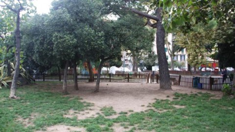 Alghero avrà le sue 'Oasi canine'. M5s: “Vittoria importante”, Sassari … – Cagliaripad