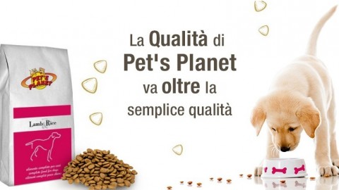 Pet's Planet: Stare un passo avanti. I protagonisti del franchising – Franchisingcity.it La città del franchising by Millionaire