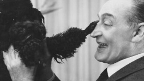 Totò accudiva 220 cani e li giudicava migliori degli esseri umani – LiberoQuotidiano.it