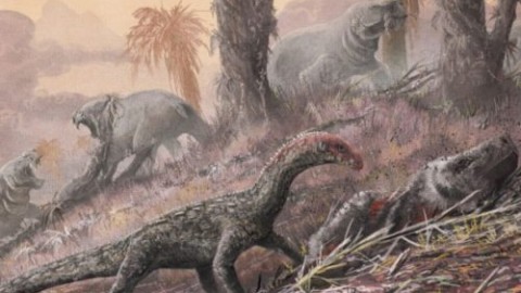 Paleontologia: scoperto rettile antenato dei dinosauri – Scienzenotizie.it (Comunicati Stampa) (Blog)